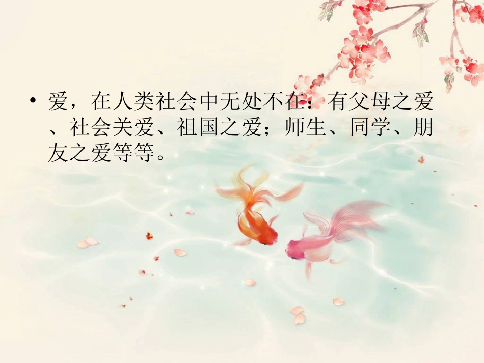 《爱星满天》课件_第2页