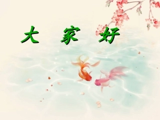 《爱星满天》课件