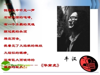 我的第一本书 (3)