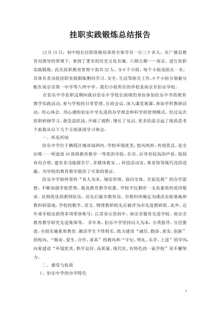 挂职实践锻炼总结报告