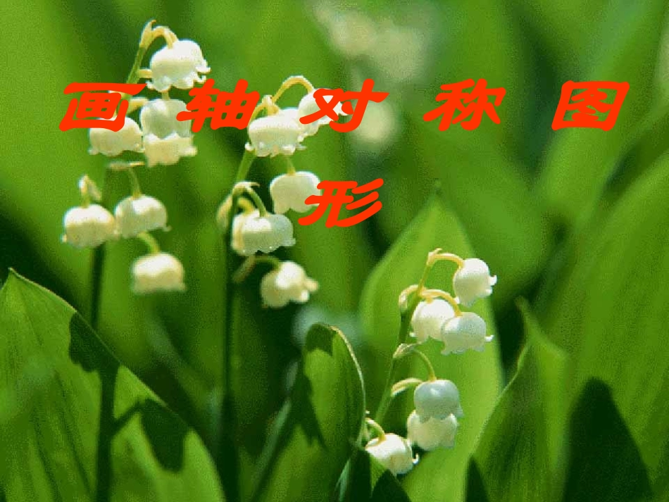 第三课时画轴对称图形_第1页