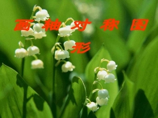 第三课时画轴对称图形