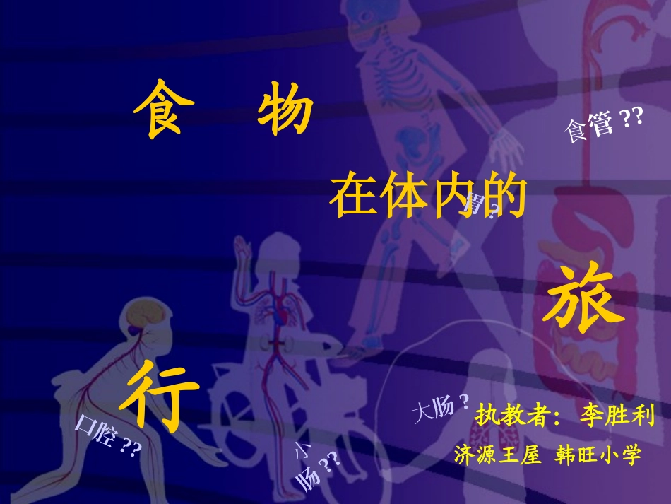 小学科学四上《食物在体内的旅行》课件_第1页