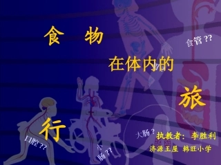 小学科学四上《食物在体内的旅行》课件