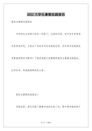 2024大学生暑期实践报告_5