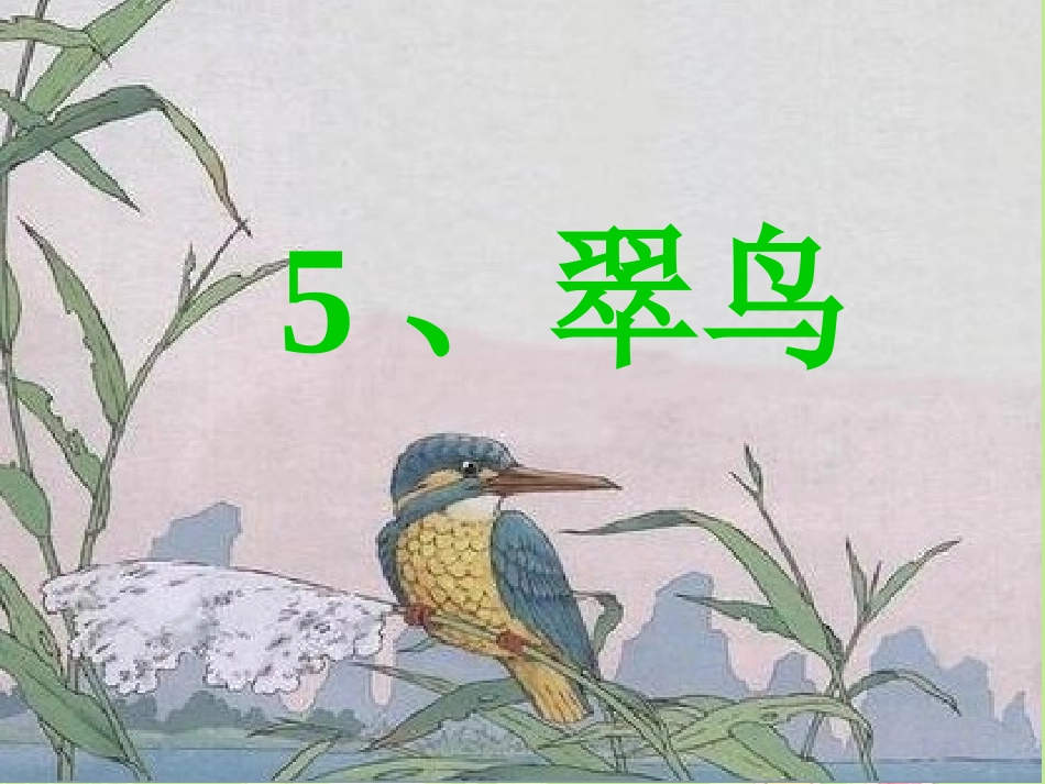 翠鸟课件(人教版语文三年级下册)_第1页