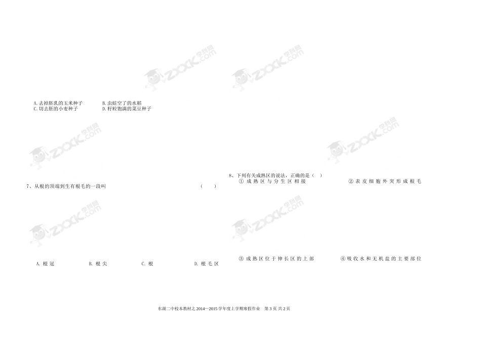七年寒假作业1_第3页