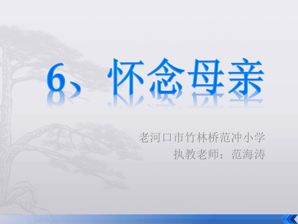 怀念母亲___范冲小学专业版_第1页