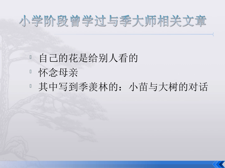 怀念母亲___范冲小学专业版_第3页
