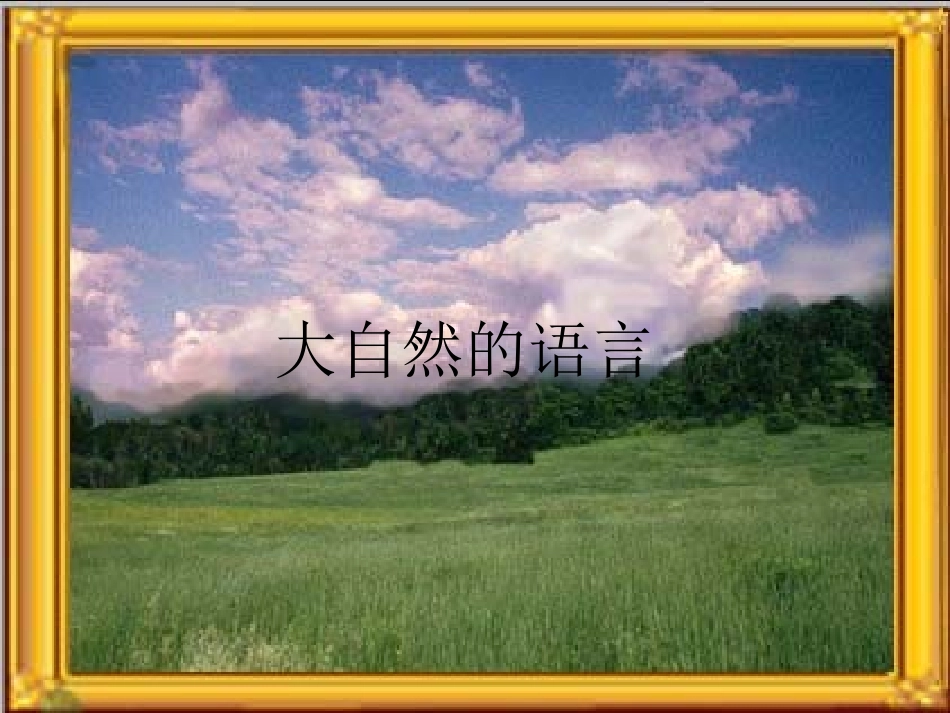 大自然的语言 _第1页