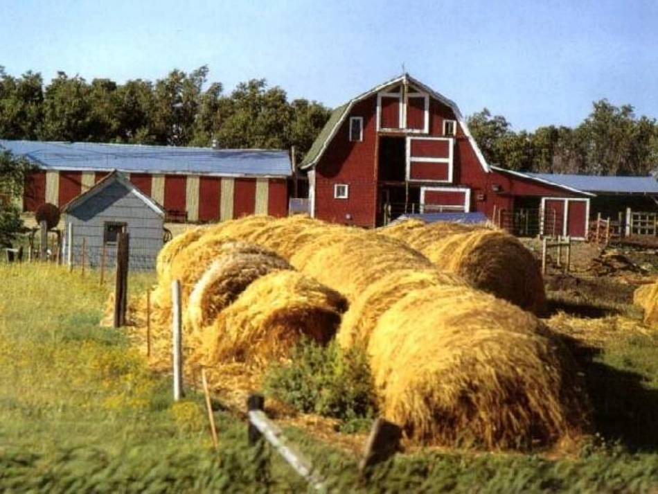 大自然的语言 _第2页