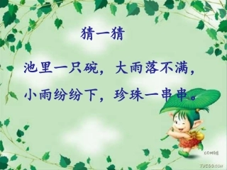 《荷叶圆圆》教学课件