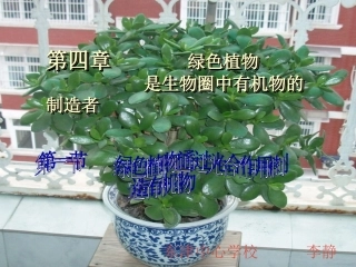 绿色植物通过光合作用制造有机物