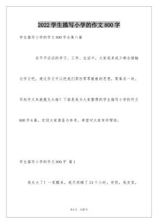 2024学生描写小学的作文800字_8