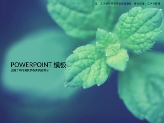 绿色小清新简约PPT模板