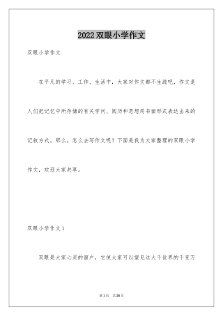 2024双眼小学作文_1