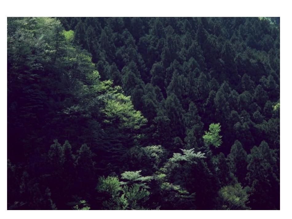 黄河是怎样变化的 (2)_第2页