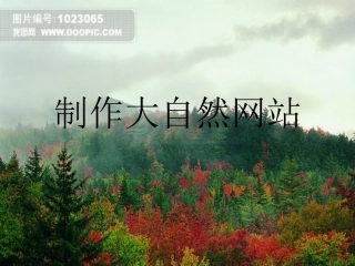 制作大自然网站