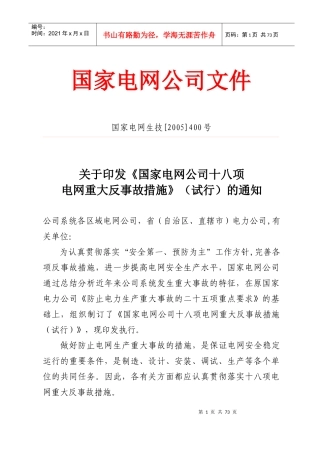 国家电网公司十八项反措