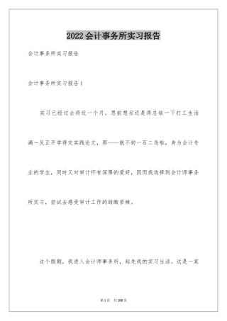 2024会计事务所实习报告_2