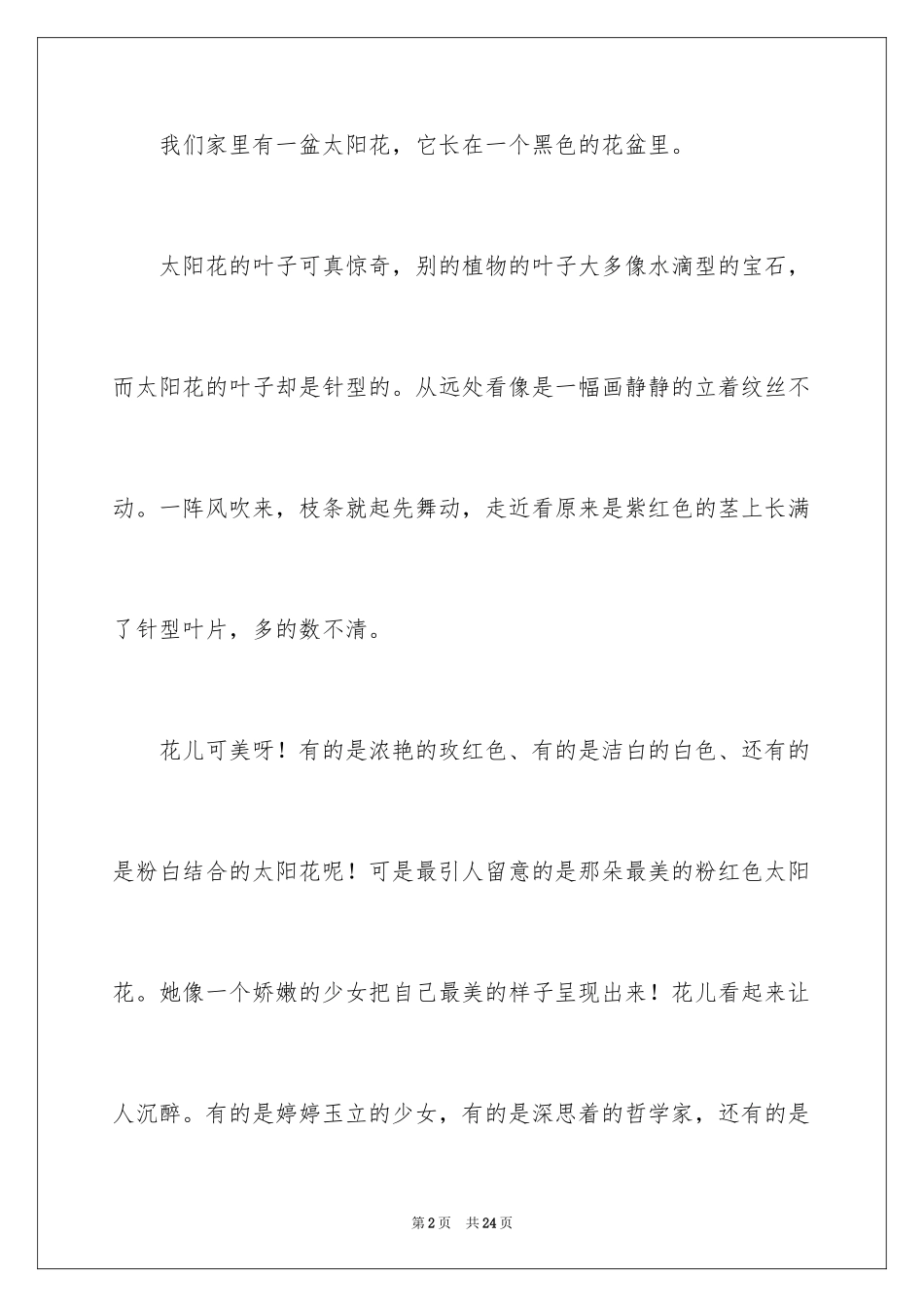 2024太阳花作文_13_第2页