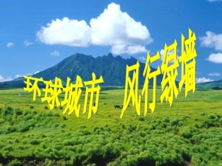 《环球城市风行绿墙》课件4