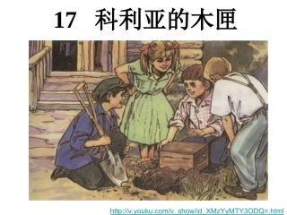 科利亚的木匣课件新
