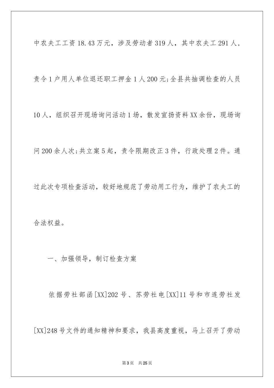 2024县农民工工资支付情况专项检查活动总结_第3页