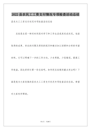 2024县农民工工资支付情况专项检查活动总结