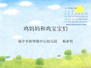 鸡妈妈和鸡宝宝们