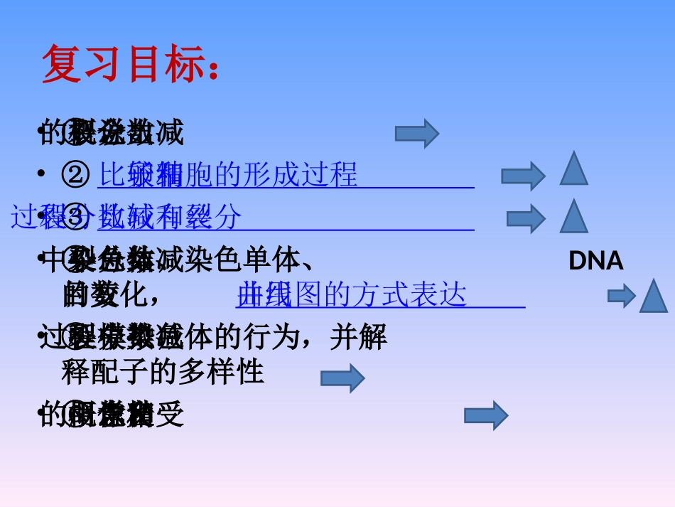 减数分裂和受精作用复习课_第2页