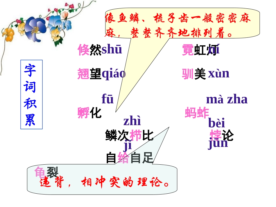 明天不封阳台公开课_第3页