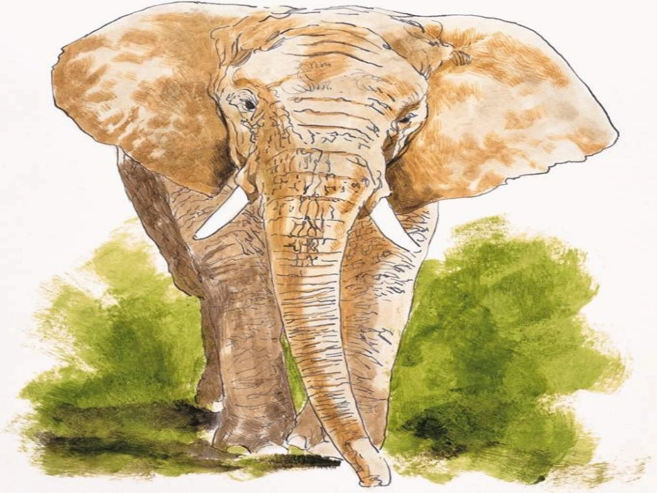 上课课件称象_第1页