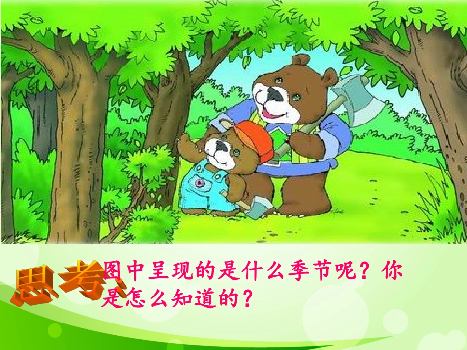 小熊住山洞 (2)_第3页