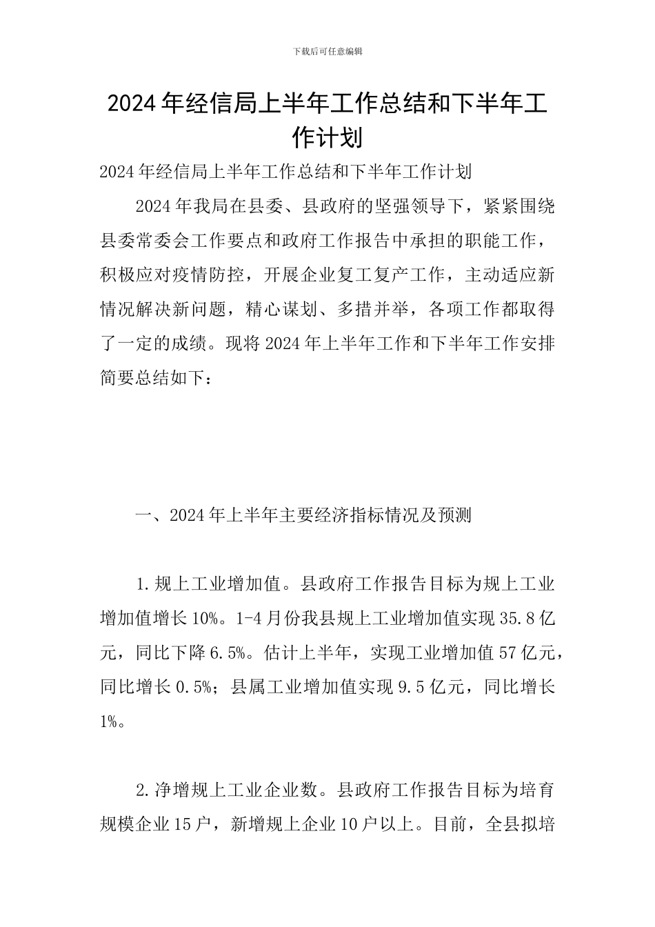 2024年经信局上半年工作总结和下半年工作计划_第1页