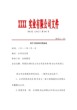 公司红头文件样本 (一)