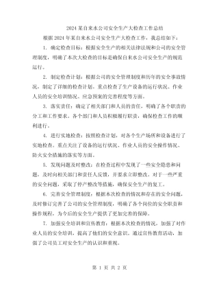 2024某自来水公司安全生产大检查工作总结