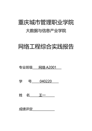 《网络工程综合实践》模板