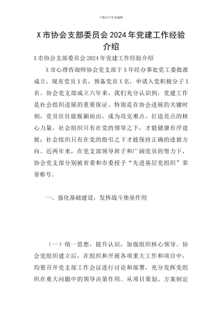 X市协会支部委员会2024年党建工作经验介绍