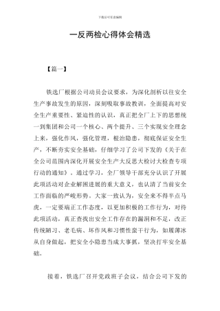 一反两检心得体会精选