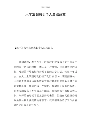 大学生副班长个人总结范文