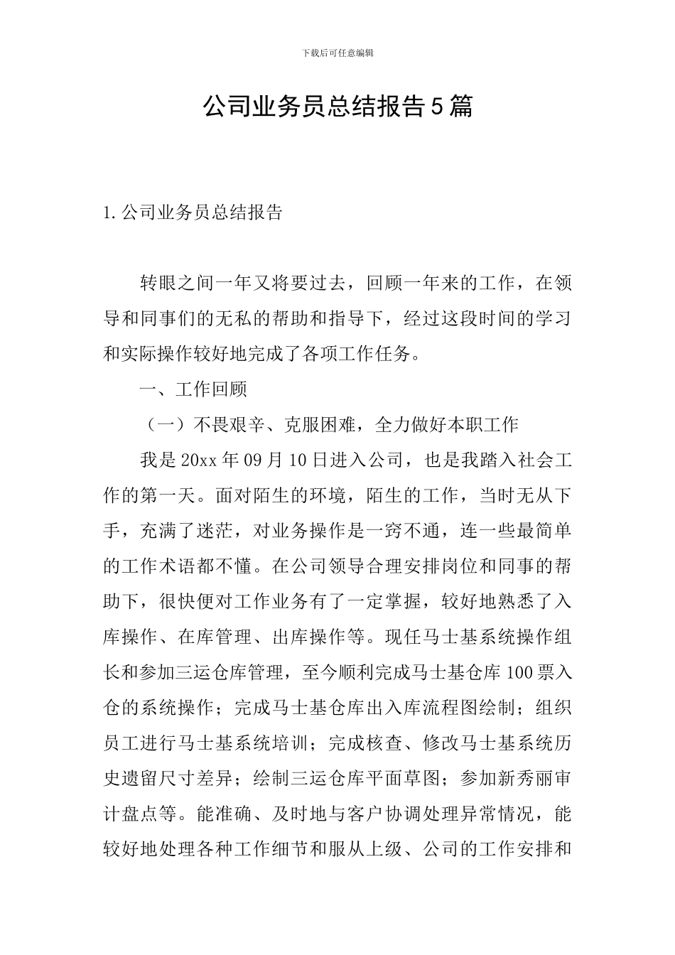 公司业务员总结报告5篇_第1页