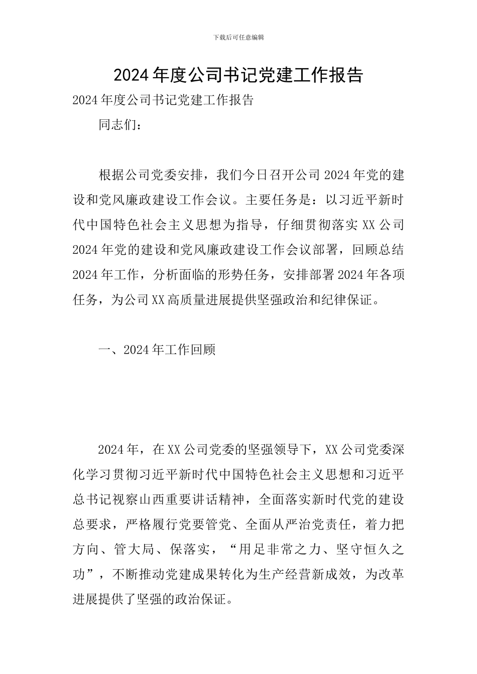2024年度公司书记党建工作报告_第1页
