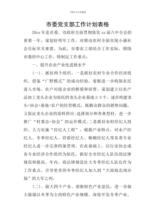 市委党支部工作计划表格