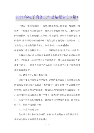 2023年电子商务工作总结报告(13篇)