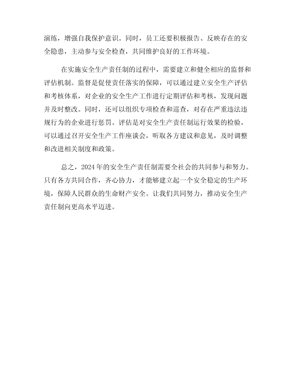2024安全生产责任制 _第2页