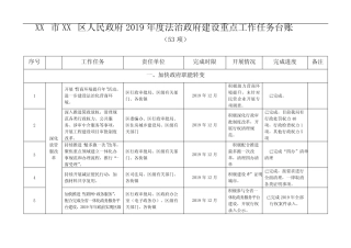2019年度法治政府建设重点工作任务台账(53项)【模板】