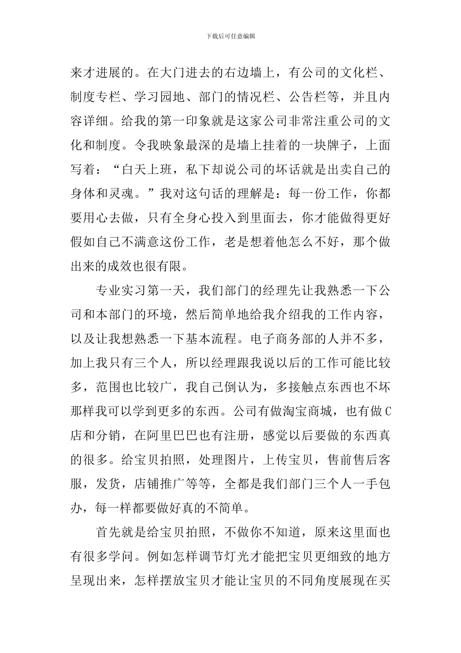 电子商务实习报告范文2024_第3页