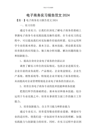 电子商务实习报告范文2024