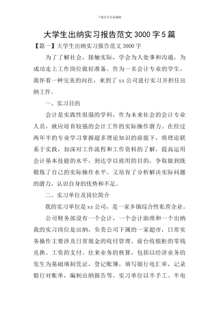 大学生出纳实习报告范文3000字5篇
